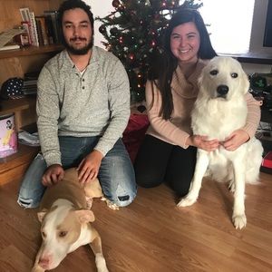 Meet your Posher, Haley